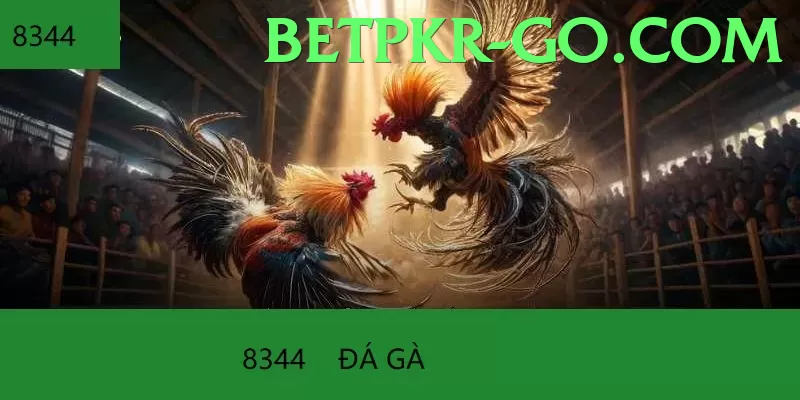 Trường Đấu Live Games Chuyên Nghiệp - promoting digital literacy in PK