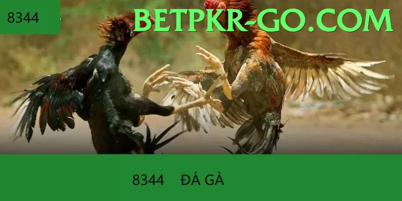 Cách Đọc Kèo Live Games - no gambling, purely knowledge-focused