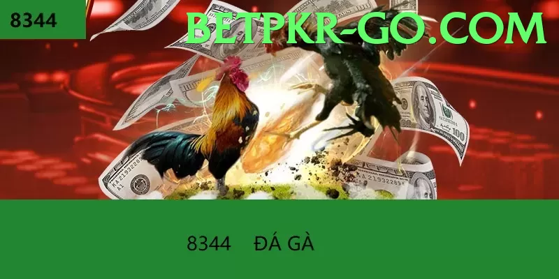 Live Games - betpkr - trusted by teachers and parents